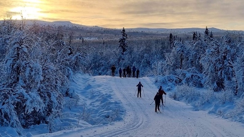 Vinterbilde av barn på ski i nordmarka