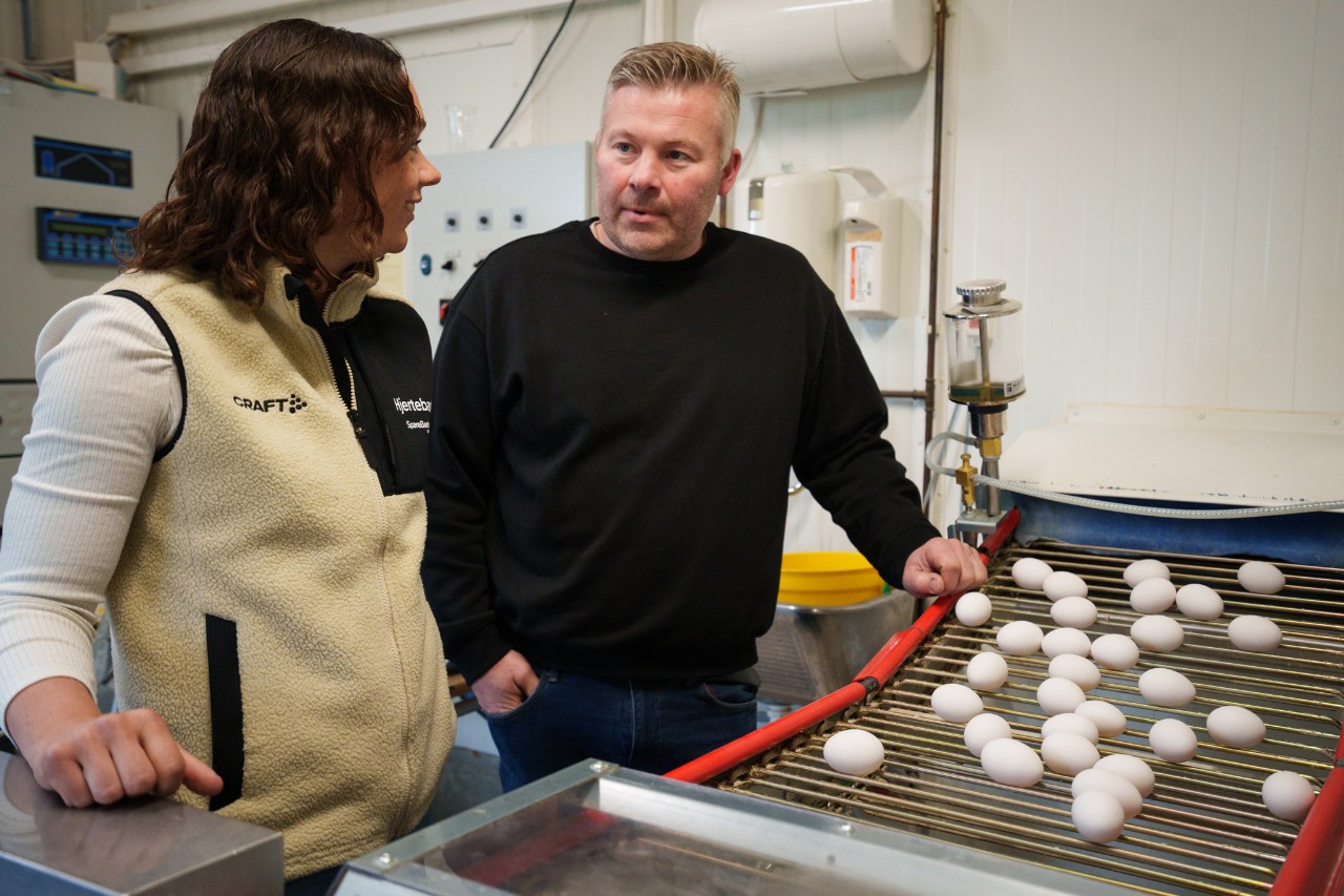 SMN kundecase landbruk - Julie og Ole Andreas ser på eggene