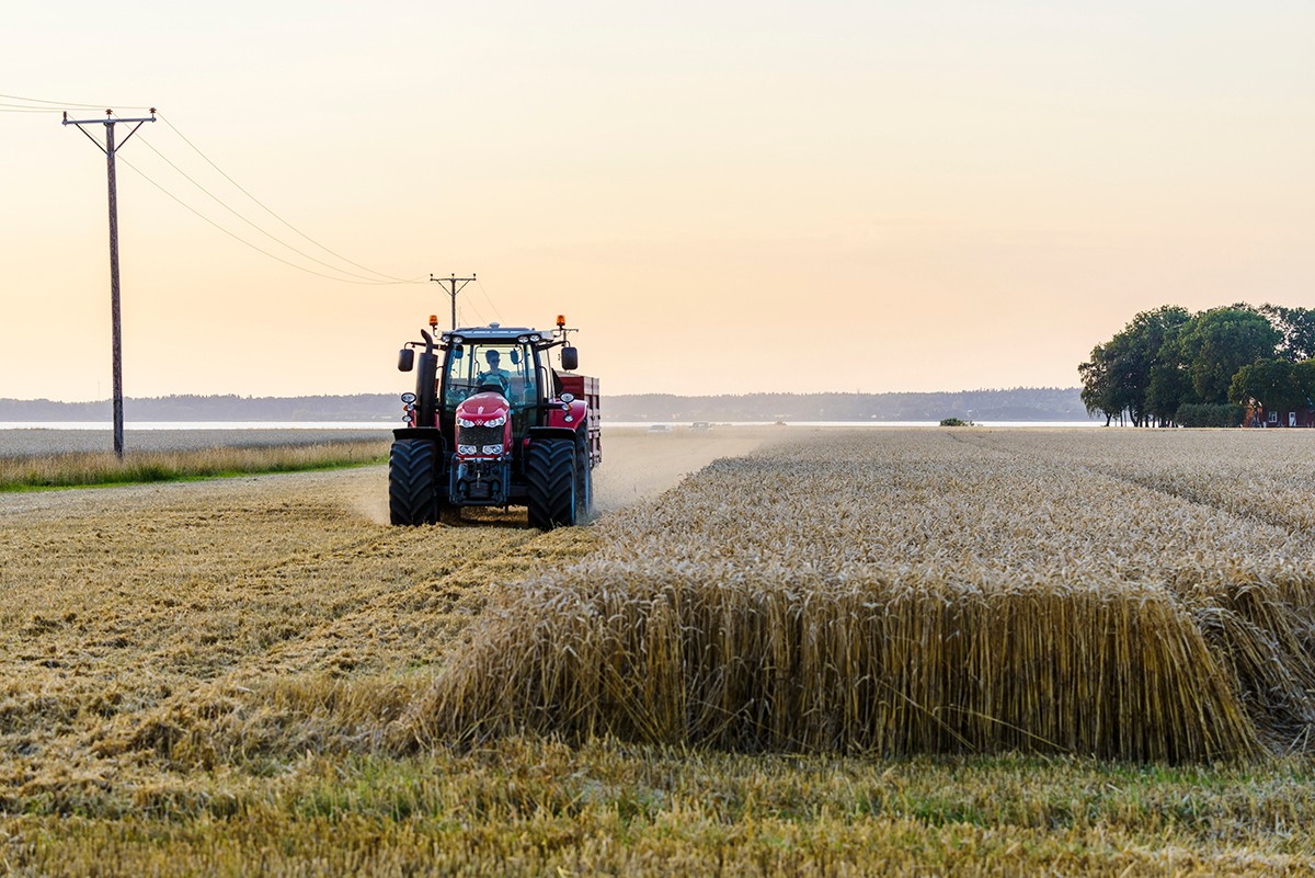 traktor grønt tre landbruk ikon