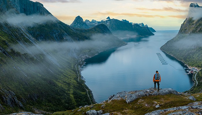 Forvaltning GettyImages Utbytte