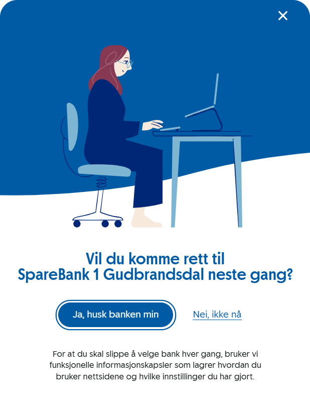 Send meg direkte til banken.